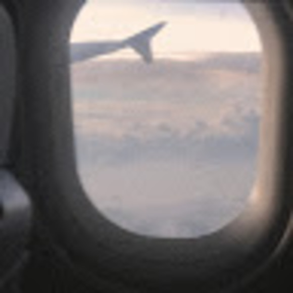 Meet your Posher, Isabella - Picture 1 of 1